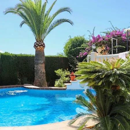 Narby Javea